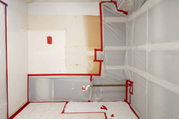 Best Residential Mold Inspection & Testing  in Cusseta, GA