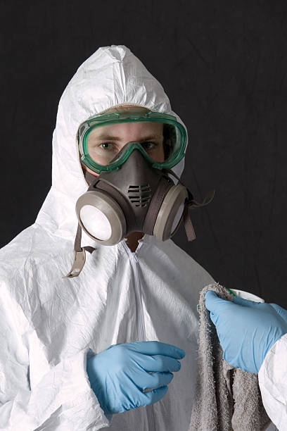 Best Basement Mold Removal  in Cusseta, GA